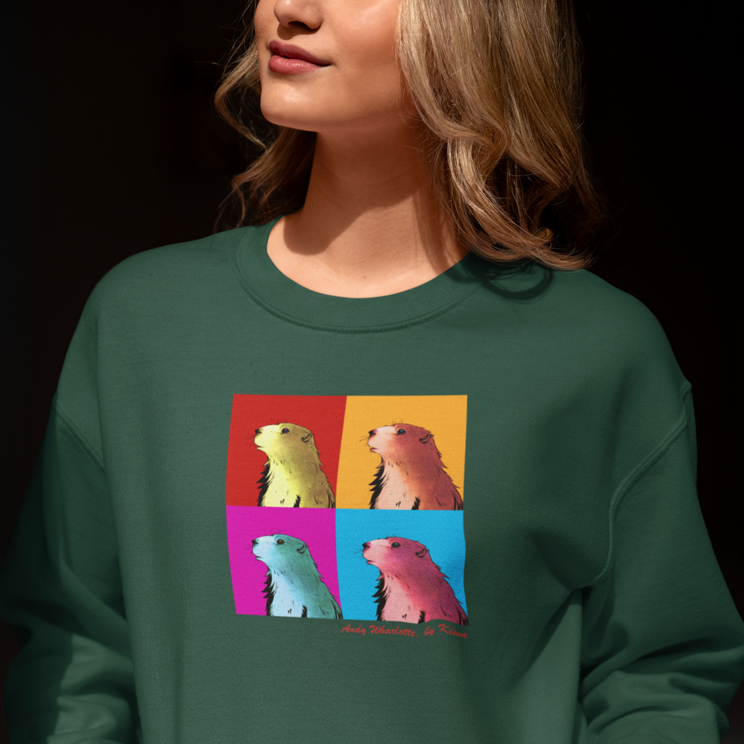 sweat vert montagne béarn marmotte pop art sud ouest